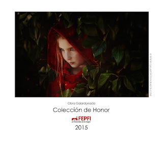 Obra Coleción de Honor 2015 fepfi, autor galart fotografos