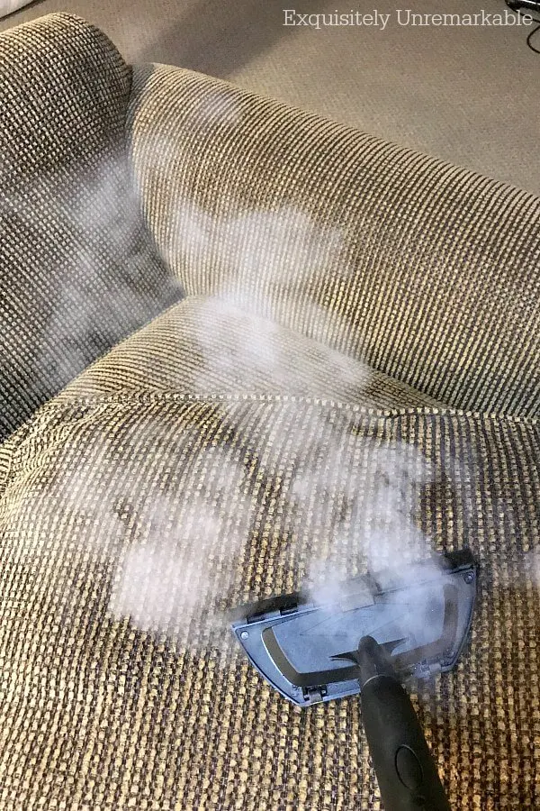 Steam Cleaning Couch Cushions