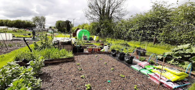 Plot7 Marsh Lane