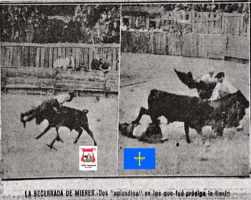 MIERES TOROS BECERRADA