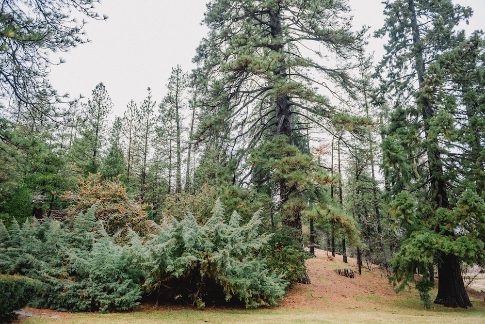Rustic Mountain Wedding Inspiration Shoot | Southern California Wedding
