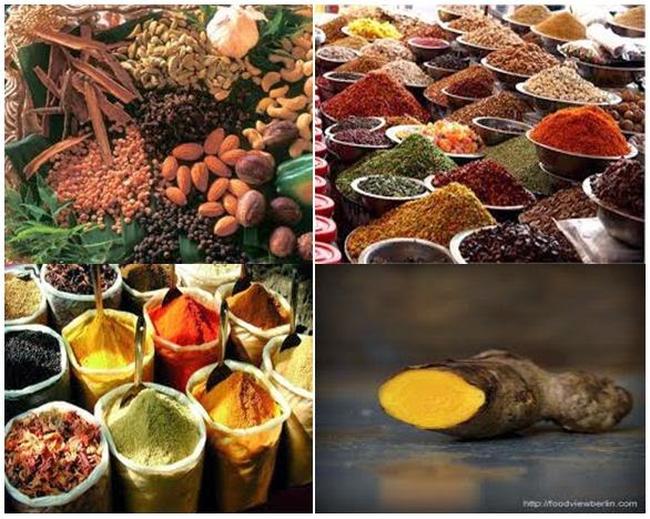 ASILI NA UTAMADUNI WA ZANZIBAR: VIUNGO VYA ASILI