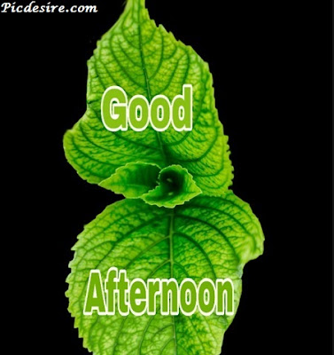 Best 50 Good Afternoon Images 2020 || Good Afternoon Images for Whatsapp Best 50 Good Afternoon Images 2020 || Good Afternoon Images for Whatsapp