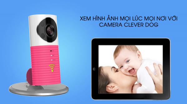 Camera IP Clever dog DOG-1W Camera IP Clever dog DOG-1W