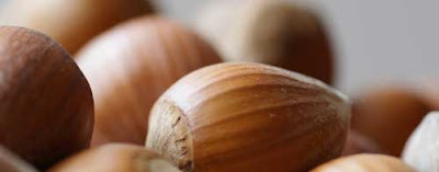 Closeup photo of brown hazelnuts