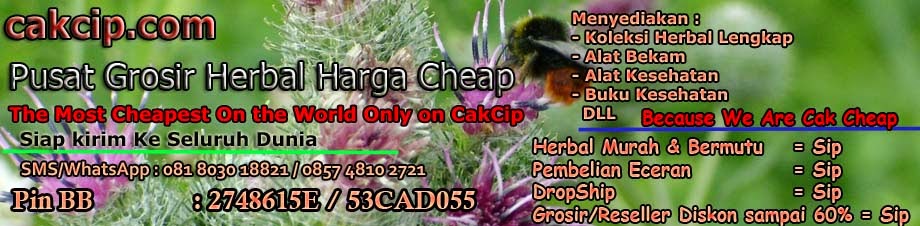 jual herbal murah surabaya | supplier grosir herbal surabaya sidoarjo | agen distributor toko herbal