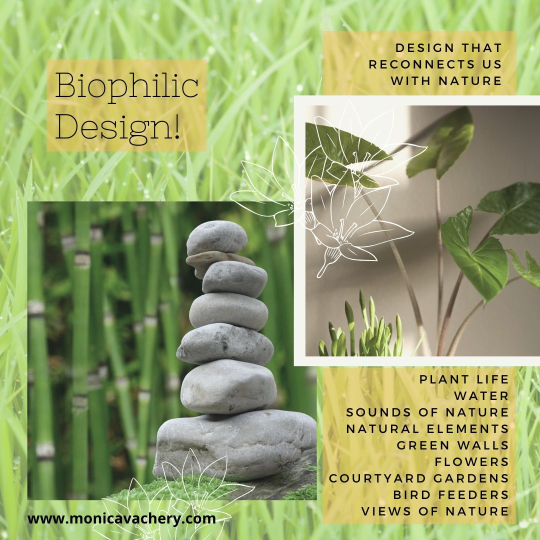 Nature Reimagined: Biophilic Design Beyond Plants