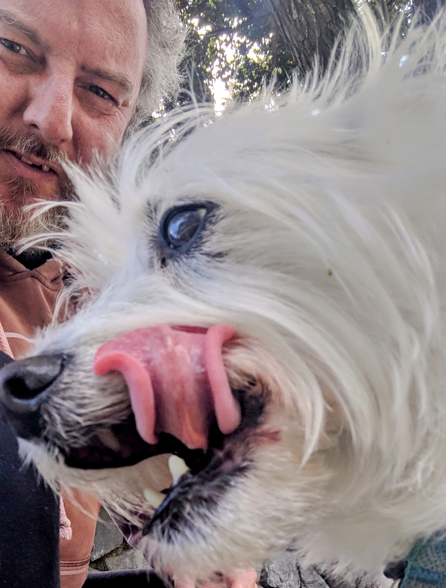 Dog licks his lips as man looks on