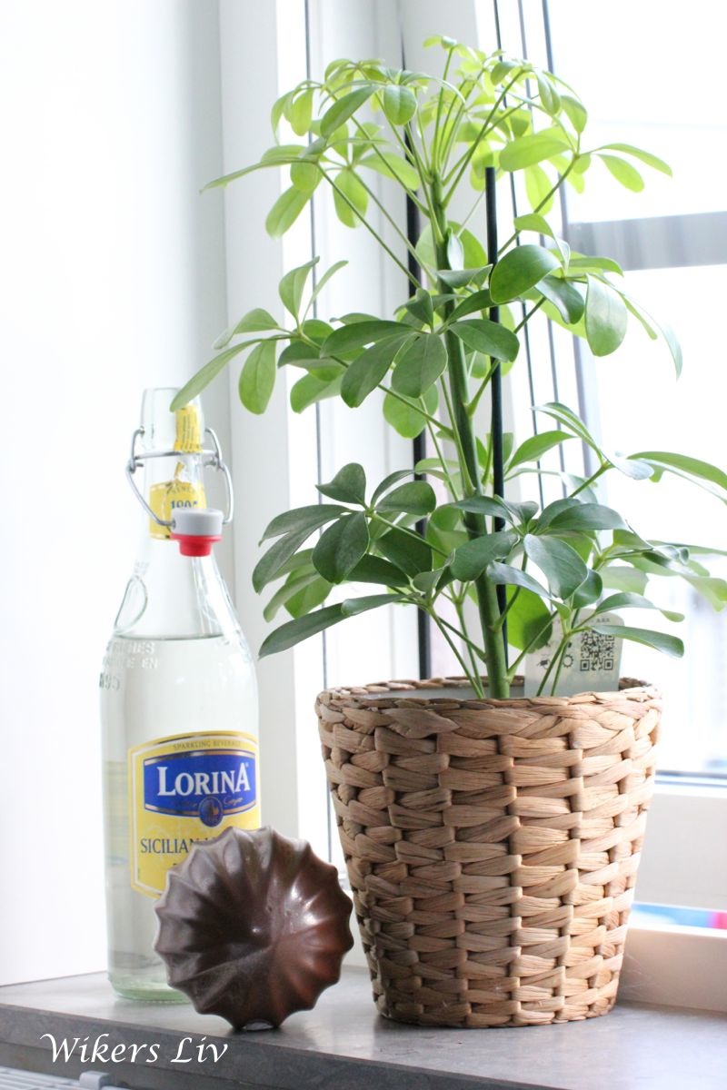 Wikers liv: sovrum