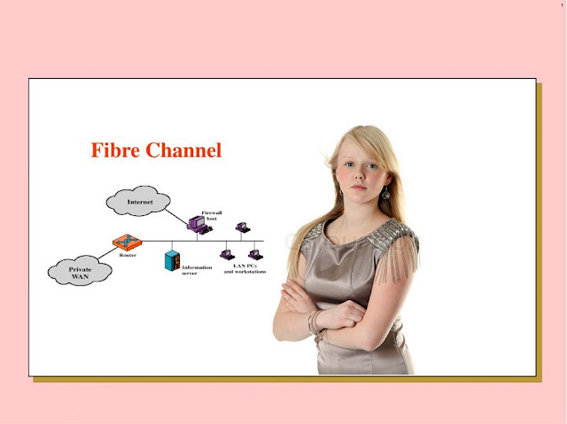 What is fiber channel?