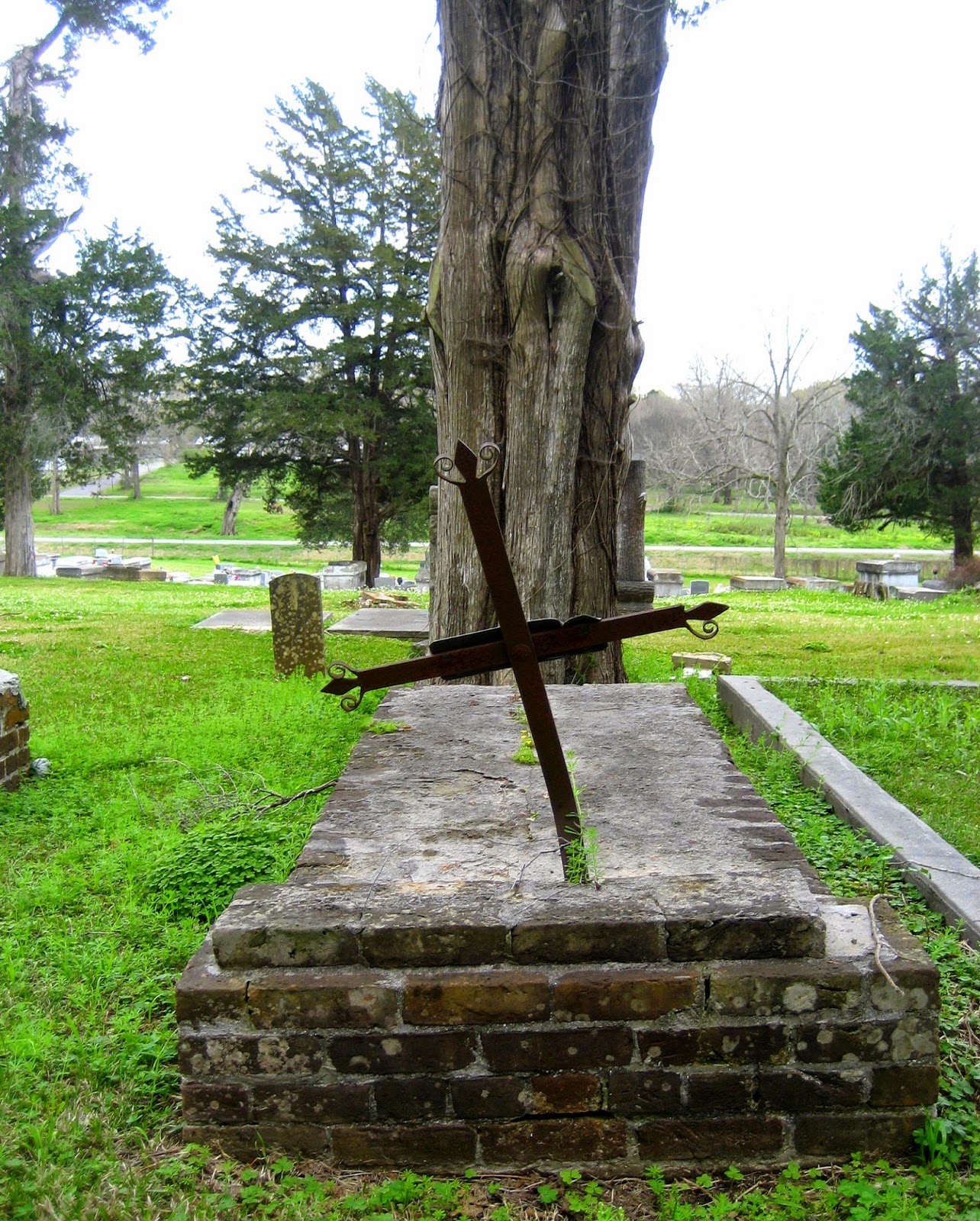 Living Rootless The French Connection The Louisiana and Missouri Dead