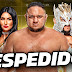 Tsunami de despidos en WWE
