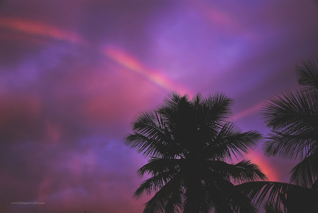 colorful sky between coconut tree