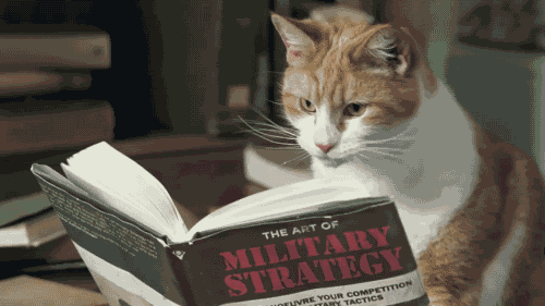 Gambar Animasi Kucing Baca Buku Military Strategy Lucu