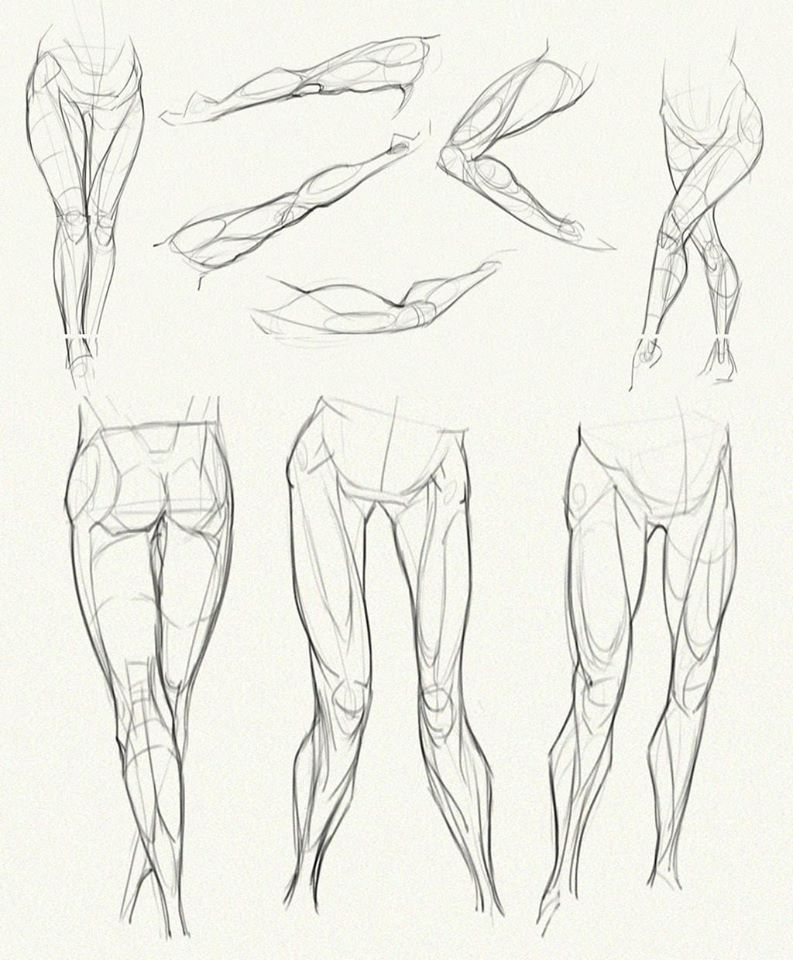 [TUTORIAL] Legs Drawing Tutorial | Free Artbooks and Drawing Tutorial