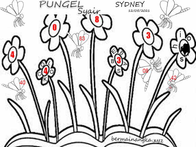 PREDIKSI SYDNEY COJEEL