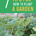 Easy Steps to Plant a Garden