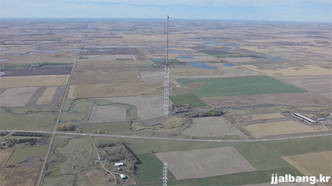 극한직업.gif | 인스티즈