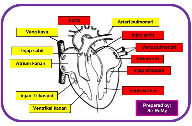 CikGu ReMy: [Quick Revision] F3 - Chapter 2