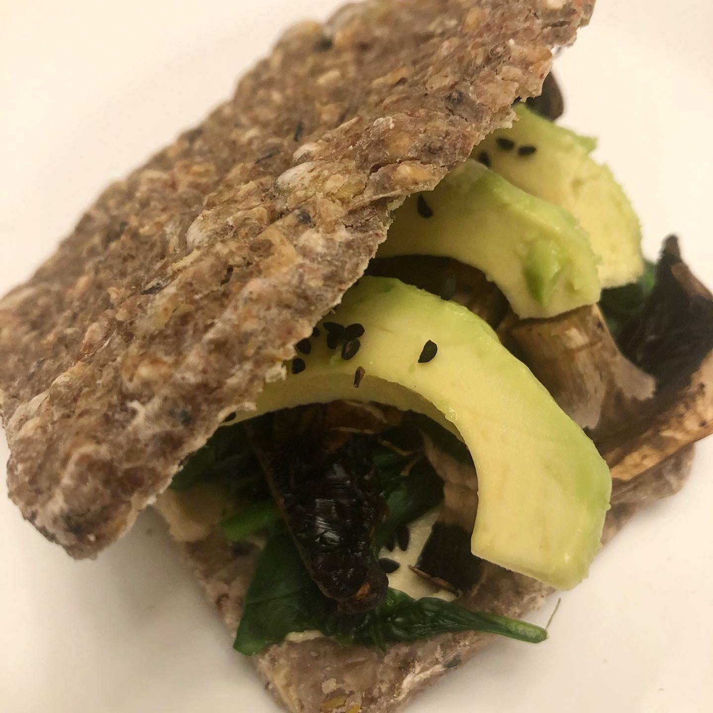 Easy Food Creations Healthy with Joanna Flat flax seed buckwheat bread
