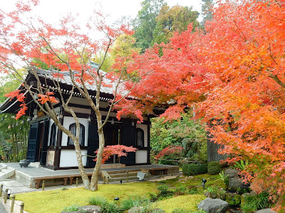 ���J���̍g�t