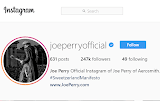 screenshot: profilul de Instagram al lui Joe