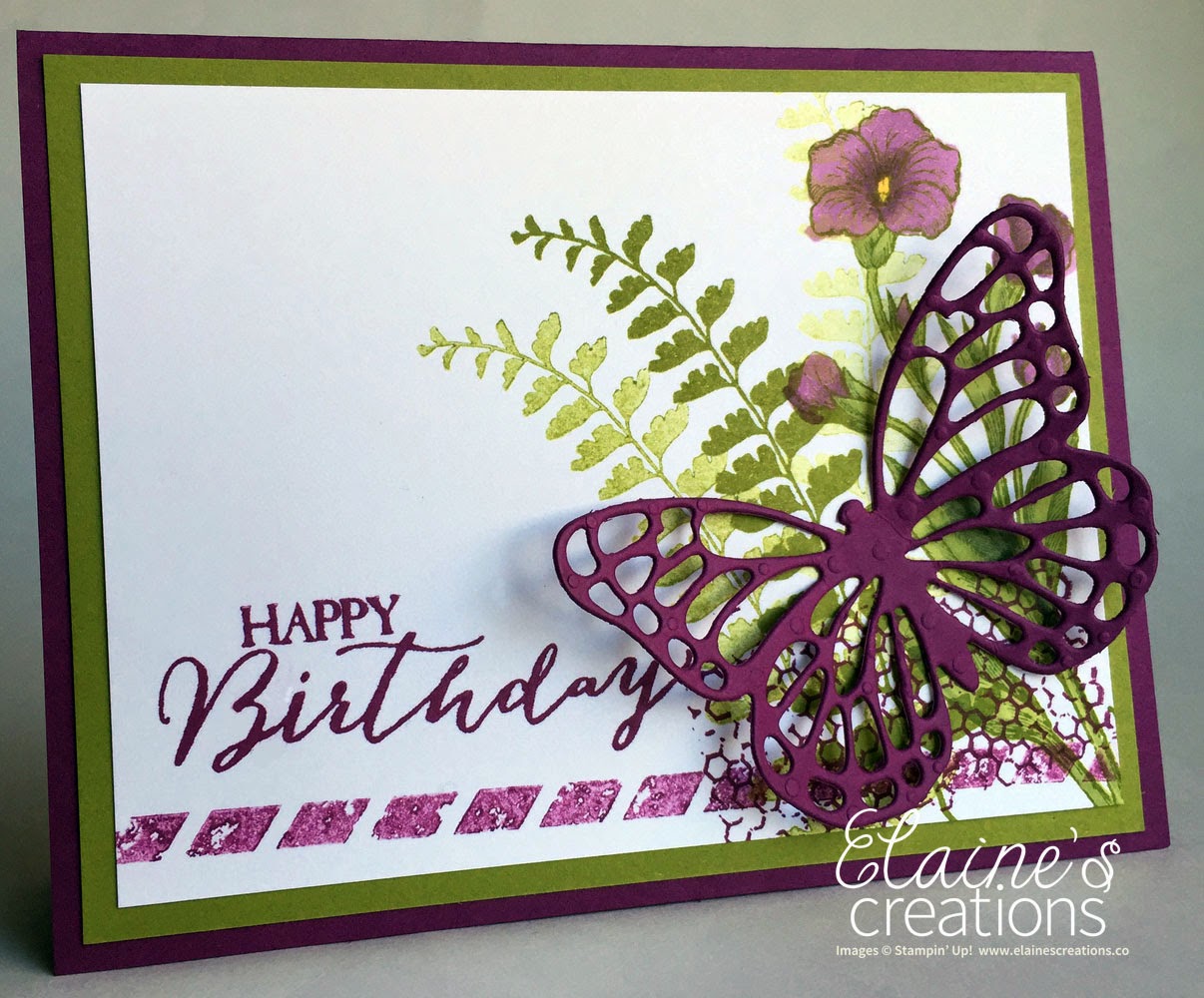 elaine-s-creations-butterfly-basics-birthday-card