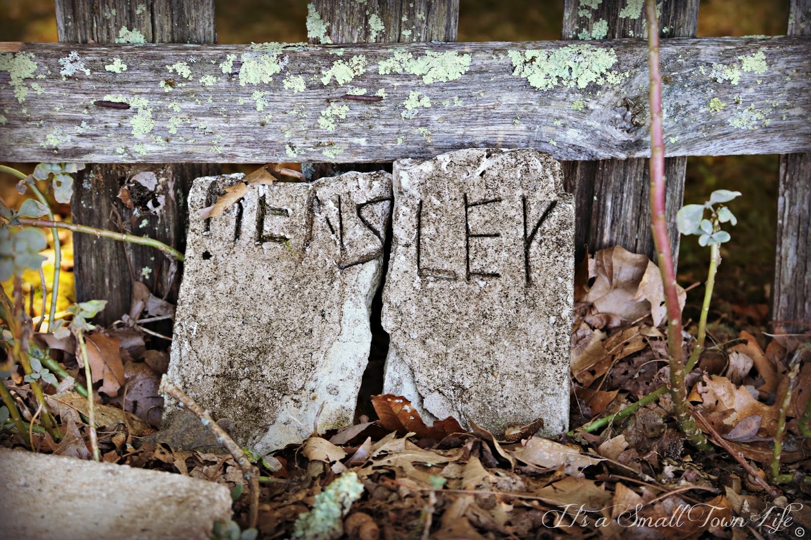 The Hensley Settlement