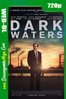 El Precio de la Verdad Dark Waters (2019)  