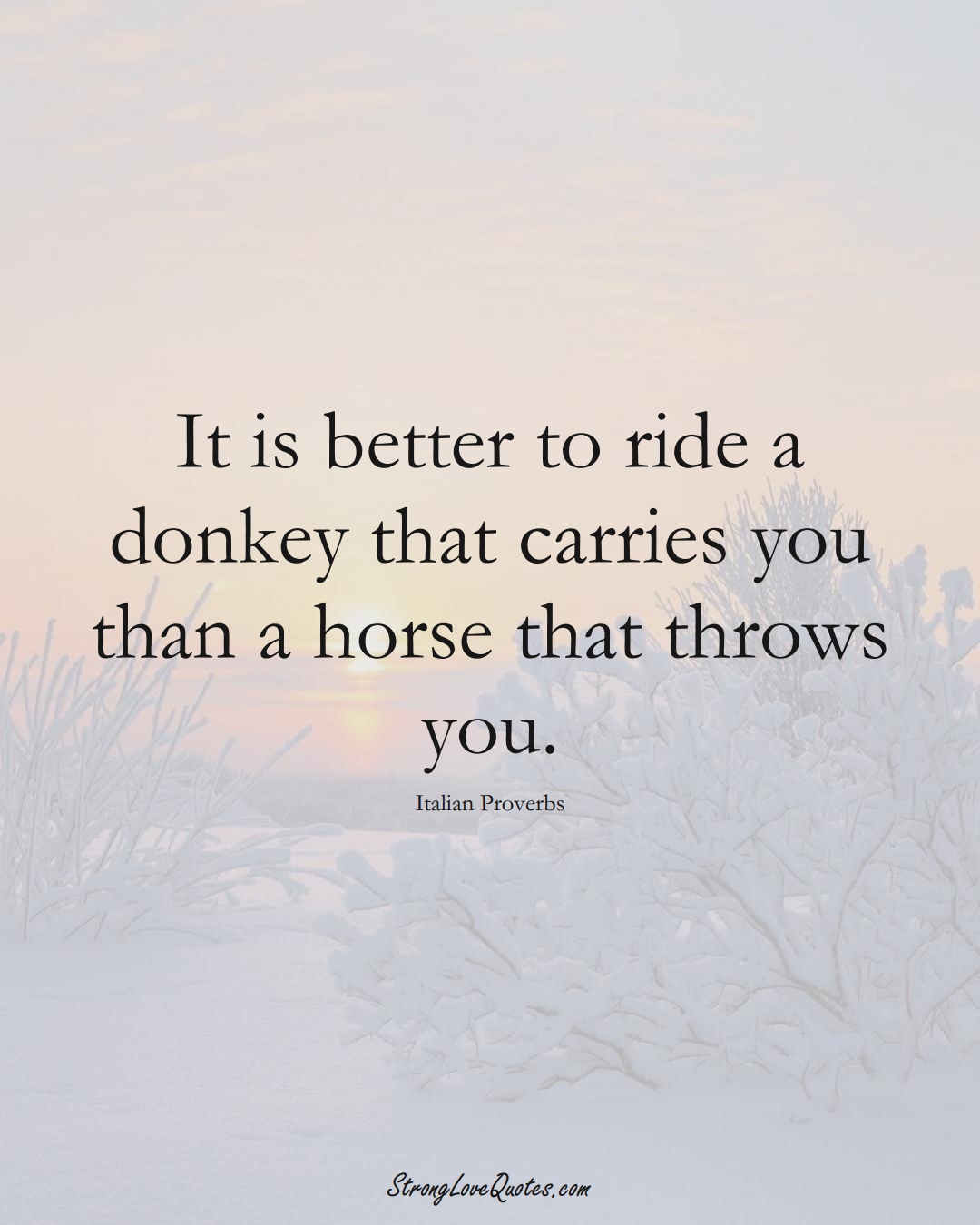 It is better to ride a donkey that carries you than a horse that throws you. (Italian Sayings);  #EuropeanSayings