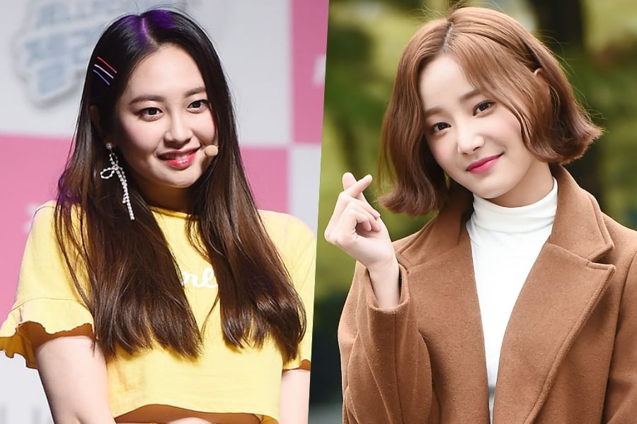 KPop in Brazil: MLD Ent. anuncia saídade Taeha e Yeonwoo do MOMOLAND