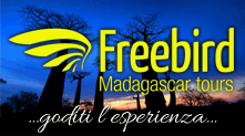 http://www.freebirdmadagascar.com/