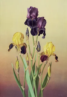 Paul Jones 1921-1997 ~ Australian painter | Flowers of May