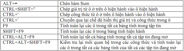 Những phím tắt thông dụng trong Excel 2003, 2007, 2010, 2013