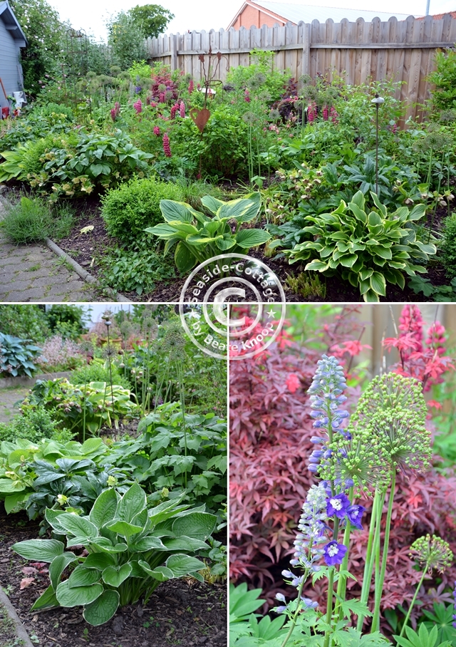 Blühender Garten im Hinterhof Wie aus einem wilden Hinterhof ein kleiner Garten wurde