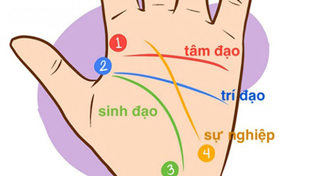 Xem bói vận mệnh đoán tương lai qua đường chỉ tay