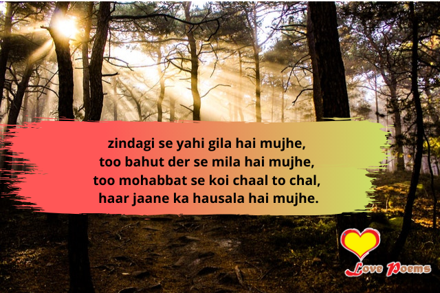 Top 75 Shayari In Roman English à¤¶ à¤¯à¤° à¤à¤¨ à¤° à¤®à¤¨ à¤ à¤ à¤² à¤¶ 2020 In holi, people spray colors on each other and celebrate it on a happy note. top 75 shayari in roman english