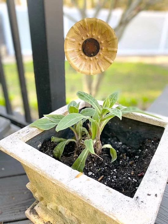 DIY junk garden flowers