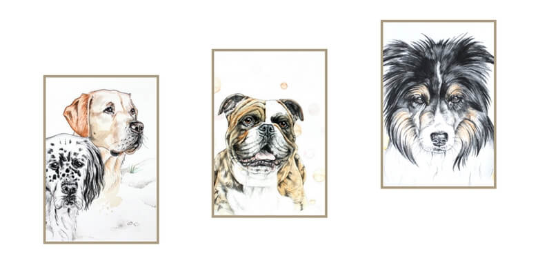 Fotos und Bilder richtig einrahmen Fotos und Bilder richtig einrahmen