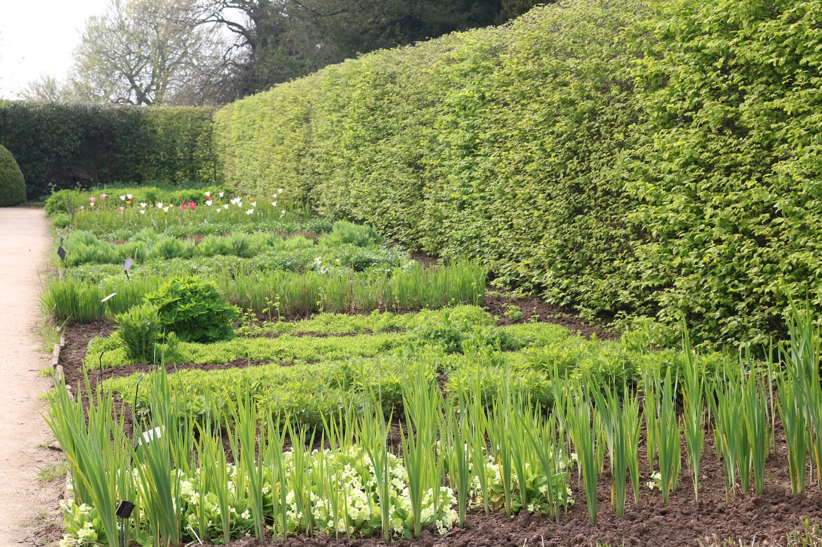 JibberJabberUK Hardwick Hall Herb Garden