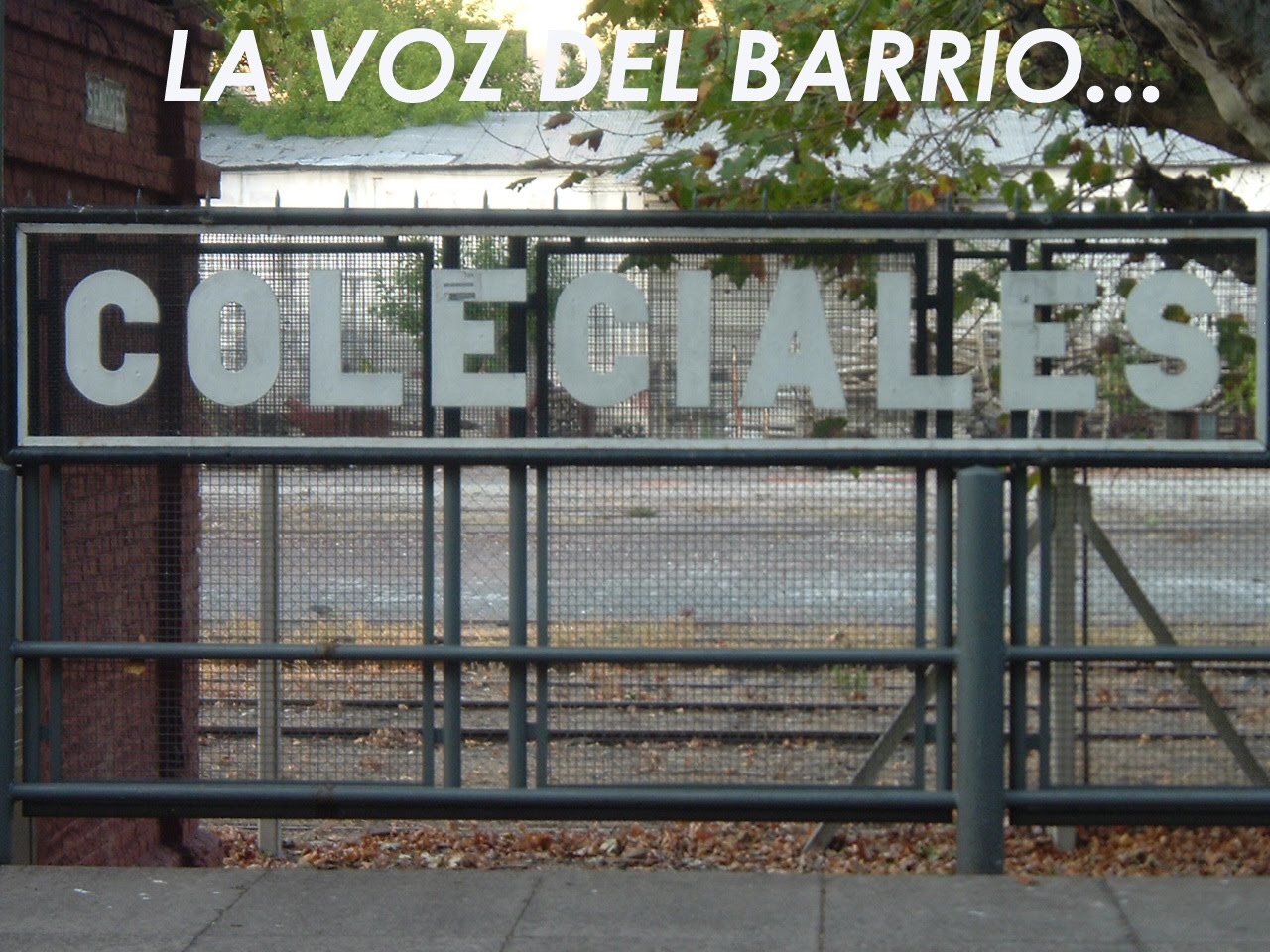 LA VOZ DEL BARRIO COLEGIALES