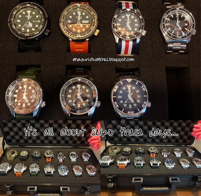 Csegment Wrist Watches Seiko Trivia Seiko Turtle "Apocalypse"