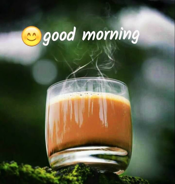 Good Morning Images For Whatsapp Good Morning Images For Whatsapp