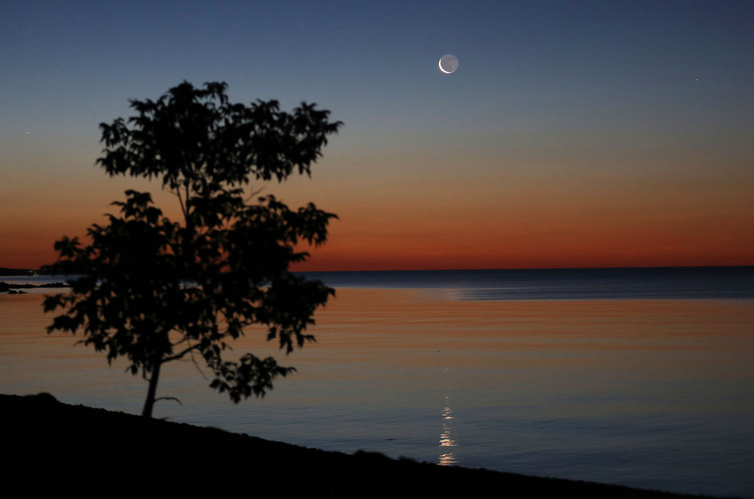 A Taste of Celestial Winter in July