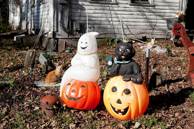 Autumn Harvest Country Scene