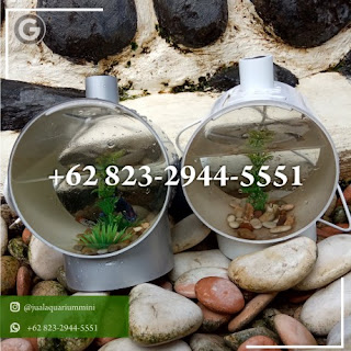 62 823 2944 5551 Akuarium Kecil Unik