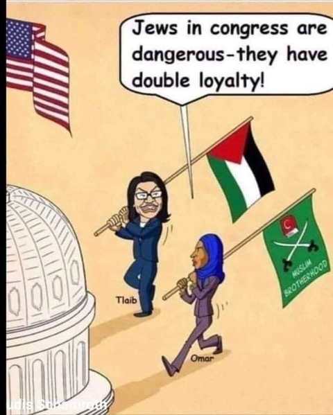 Image result for ilhan omar in israel carton