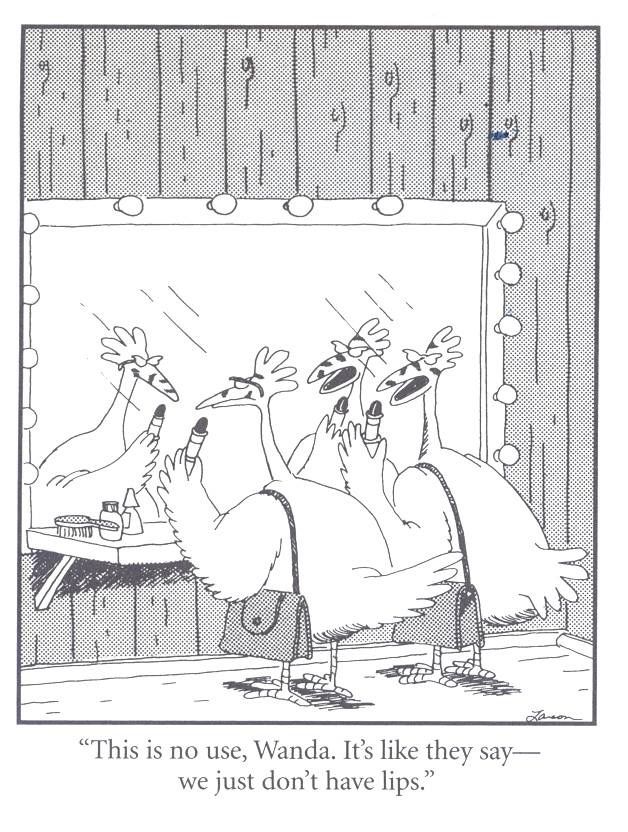 Chicken Feathers Today's funny o)