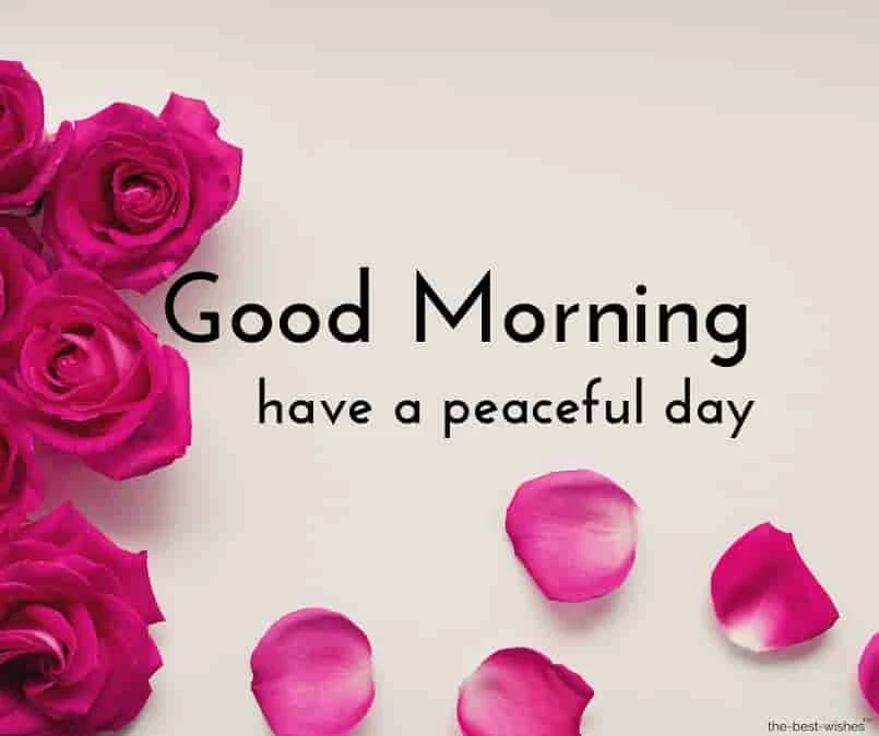 good morning picture of rose petals