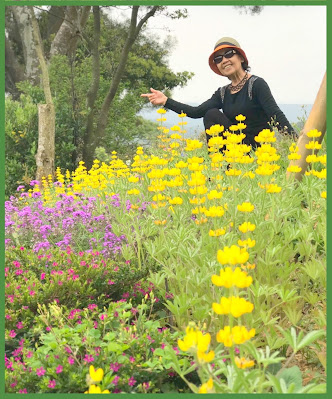 龍潭景點-大北坑休閒農業區-疫情期間少了人潮、多了恬靜自在